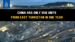 China has only 558 units from East Turkistan in one year