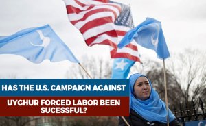 Has the U.S. Campaign Against Uyghur Forced Labor Been Successful?
