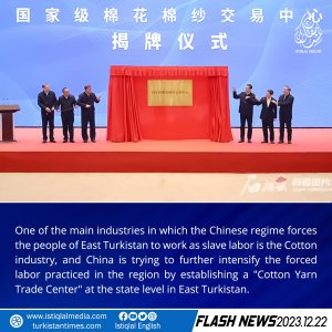Flash News