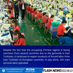 Flash News