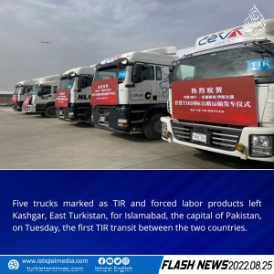 Flash News