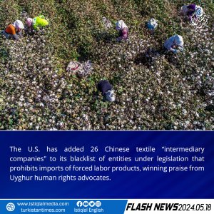 Flash News