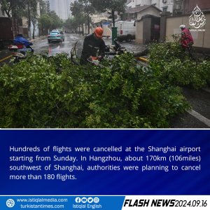 Flash News