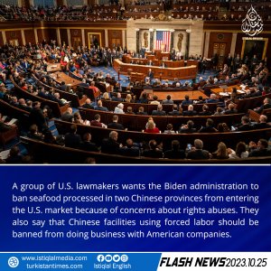 Flash News