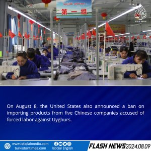 Flash News