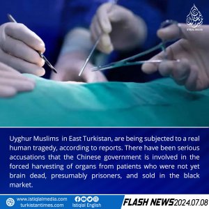 Flash News