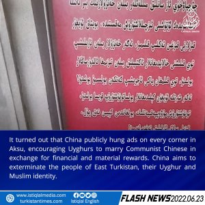Flash News