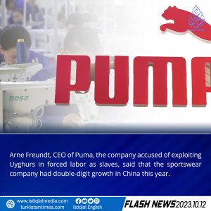 Flash News