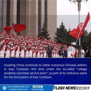 Flash News