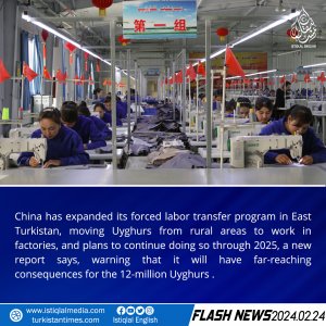 Flash News