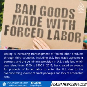 Flash News