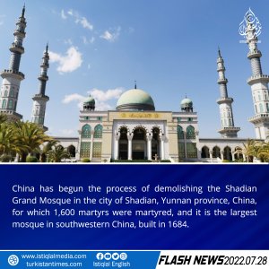 Flash News