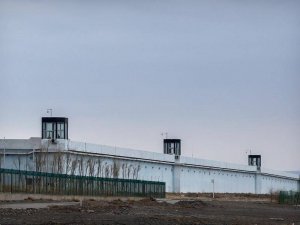 US bans imports from China-based Ninestar Corp over Uyghurs