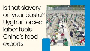 Is that slavery on your pasta? Uyghur forced labor fuels China’s food exports