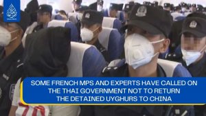 Some French MPs and experts have called on the Thai government not to return the detained Uyghurs to China