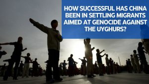 How successful has China been in settling migrants aimed at genocide against the Uyghurs?