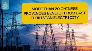 More than 20 Chinese provinces benefit from East Turkistan electricity