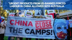 Products from US-banned forced labour in China allowed into Australia
