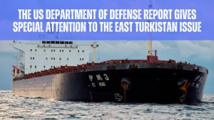 Damage to Baltic Sea cables: An act of sabotage or just another accident