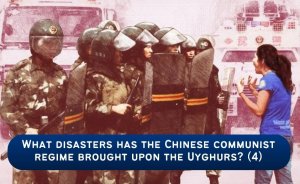 What disasters has the Chinese communist regime brought upon the Uyghurs? (4)