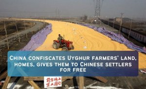 China confiscates Uyghur farmers' land, homes, gives them to Chinese settlers for free