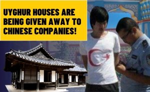 Uyghur Houses are being given away to Chinese companies!