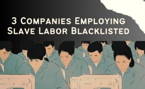 3 Companies Employing Slave Labor Blacklisted