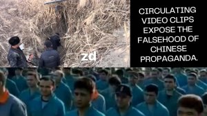 Circulating video clips expose the falsehood of Chinese propaganda.
