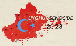 2023 Yılının Doğu Türkistan Özeti!