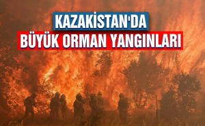 Kazakistan'da büyük orman yangınları