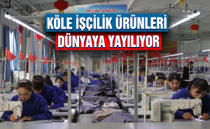 Köle işçilik ürünleri dünyaya yayılıyor