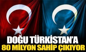 DOĞU TÜRKİSTAN DAVASINA 80 MİLYON SAHİP ÇIKIYOR.