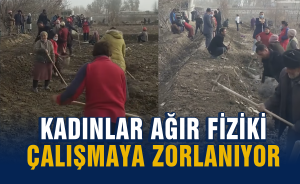 Kadınlar ağır fiziki çalışmaya zorlanıyor