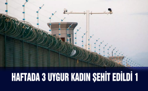 1 Haftada 3 Uygur kadın şehit oldu
