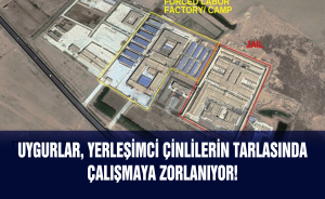 Uygurlar, Yerleşimci Çinlilerin tarlasında çalışmaya zorlanıyor!