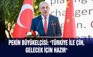 Pekin Büyükelçisi: 