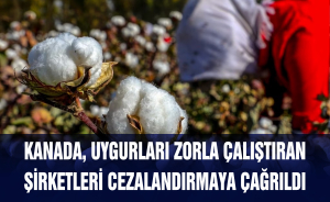 Kanada, Uygurları zorla çalıştıran Şirketleri cezalandırmaya çağrıldı