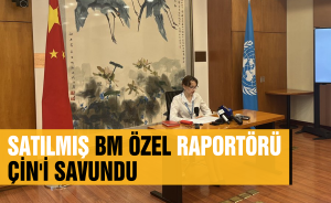 Satılmış BM Özel Raportörü Çin'i savundu