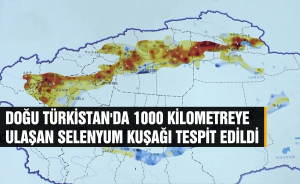 Doğu Türkistan'da 1000 Kilometreye Ulaşan Selenyum Kuşağı Tespit Edildi