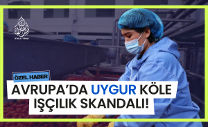 Avrupa’da Uygur köle işçilik skandalı!