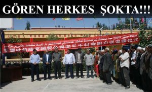 GÖREN HERKES  ŞOKTA!!!