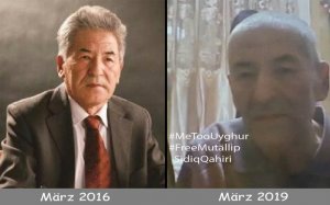 ÇİN, ÜNLÜ TÜRK DİL BİLİMCİ'İ ZORLA OĞLUNA ŞANTAJ YAPTIRDI