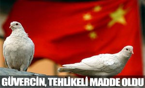 PEKİN, GÜVERCİNİ DAHİ TEHLİKELİ MADDE KATEGORİSİNE ALDI