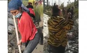 KADINLAR AĞIR İŞLERDE ÇALIŞTIRILIYOR! ERKEKLER NEREDE?