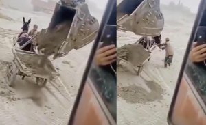 DOĞU TÜRKİSTAN'LI KADINLARIN İÇLER ACISI DURUMU ORTAYA ÇIKTI