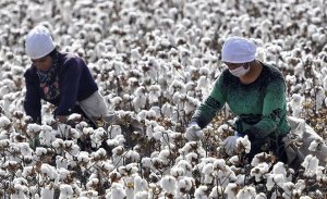 ÜNLÜ MARKS & SPENCER MARKASINDAN ÇİN ZULMÜNE TEPKİ