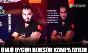 ÜNLÜ UYGUR BOKSÖR KAMPA ATILDI