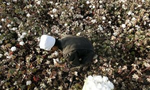 İNGİLTERE, UYGURLARIN ZORLA ÇALIŞTIRILDIĞINA DAİR KANITLARI DOĞRULADI