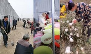 AVRUPA İLE ÇİN, ZORLA ÇALIŞTIRMA KONUSUNDA ANLAŞMAZLIĞA DÜŞTÜ