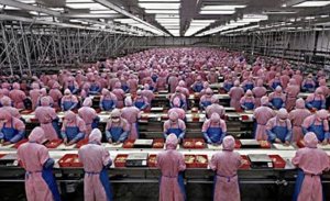 ÇİN’DEKİ APPLE VE LENOVO ŞİRKETLERİNDE ÇALIŞTIRILAN UYGURLARIN DURUMU ORTAYA ÇIKTI